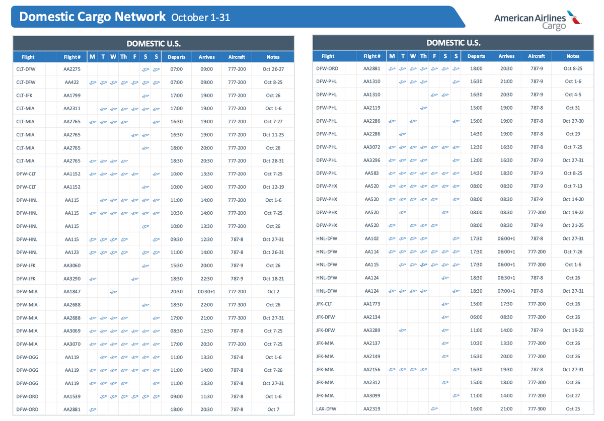 AA Widebody Domestic Schedule Sample