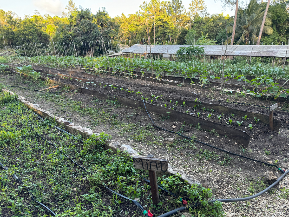 Blancaneaux Lodge Belize Mr Mrs Smith garden herbs