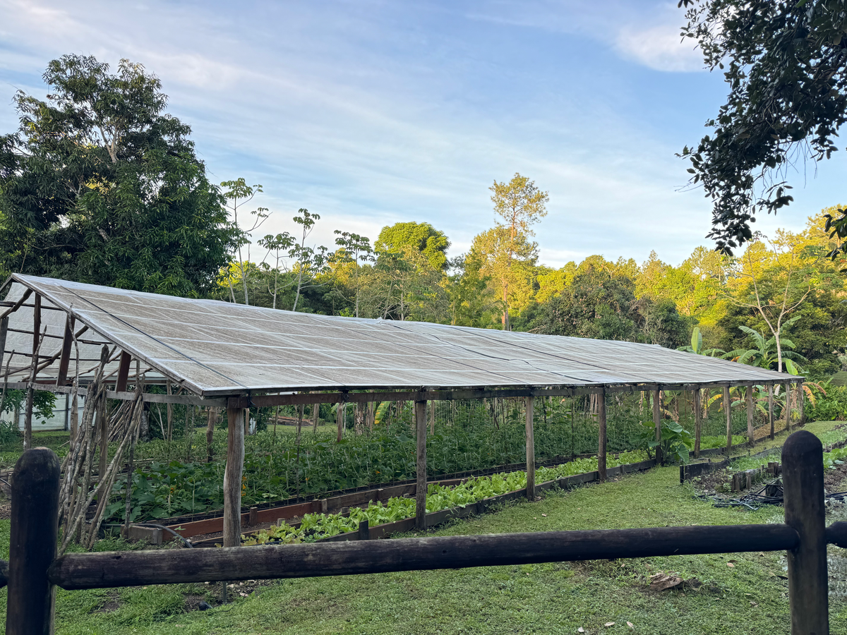 Blancaneaux Lodge Belize Mr Mrs Smith garden