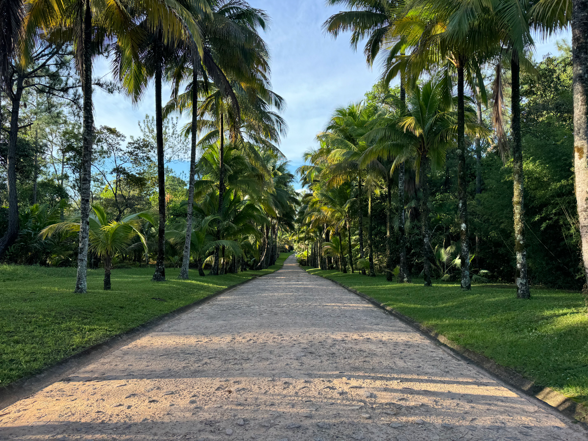 Blancaneaux Lodge Belize Mr Mrs Smith hotel road