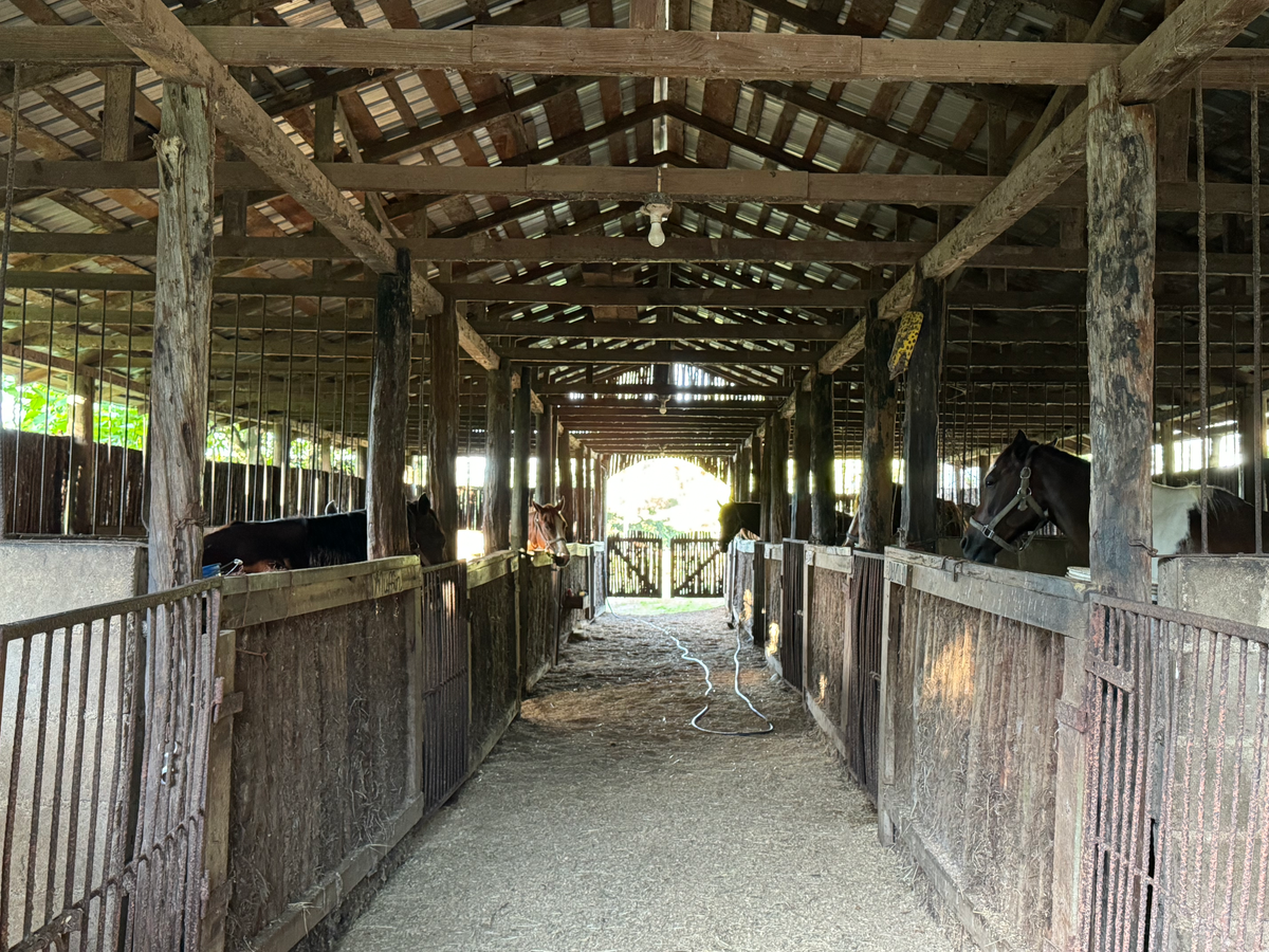 Blancaneaux Lodge Belize Mr Mrs Smith stable hallway