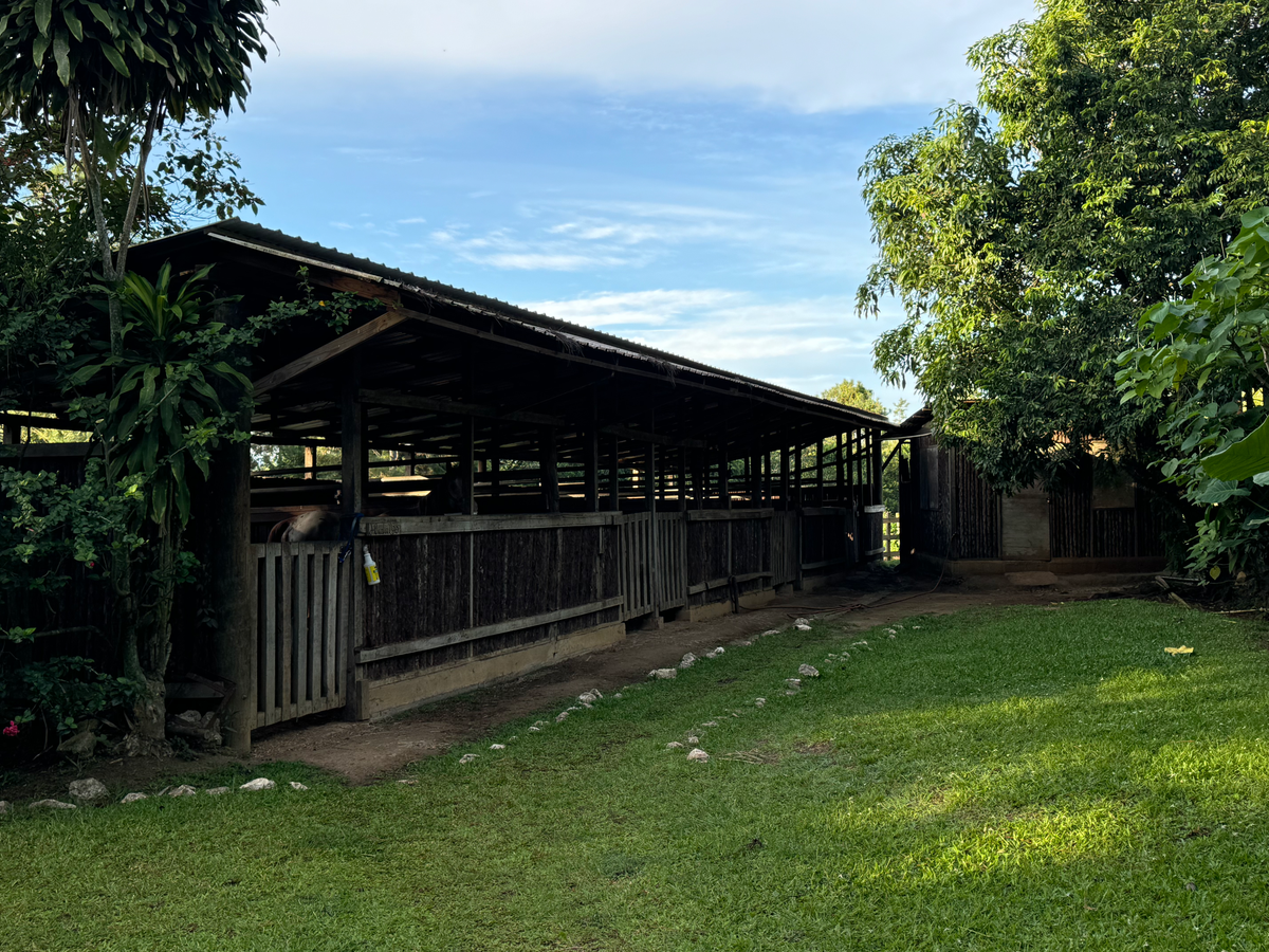 Blancaneaux Lodge Belize Mr Mrs Smith stable