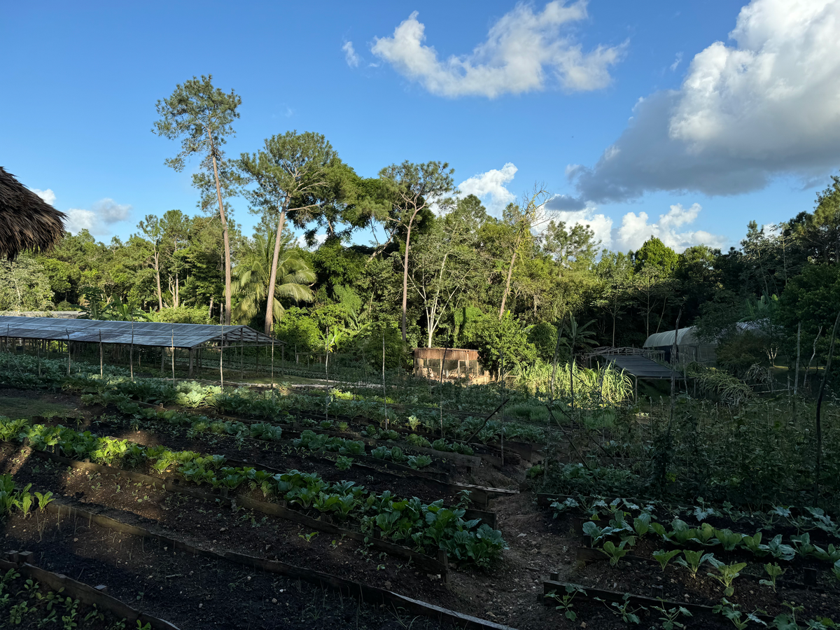 Blancaneaux Lodge garden distant view