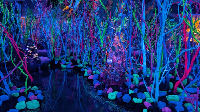 Meow Wolf Houston Glowquarium