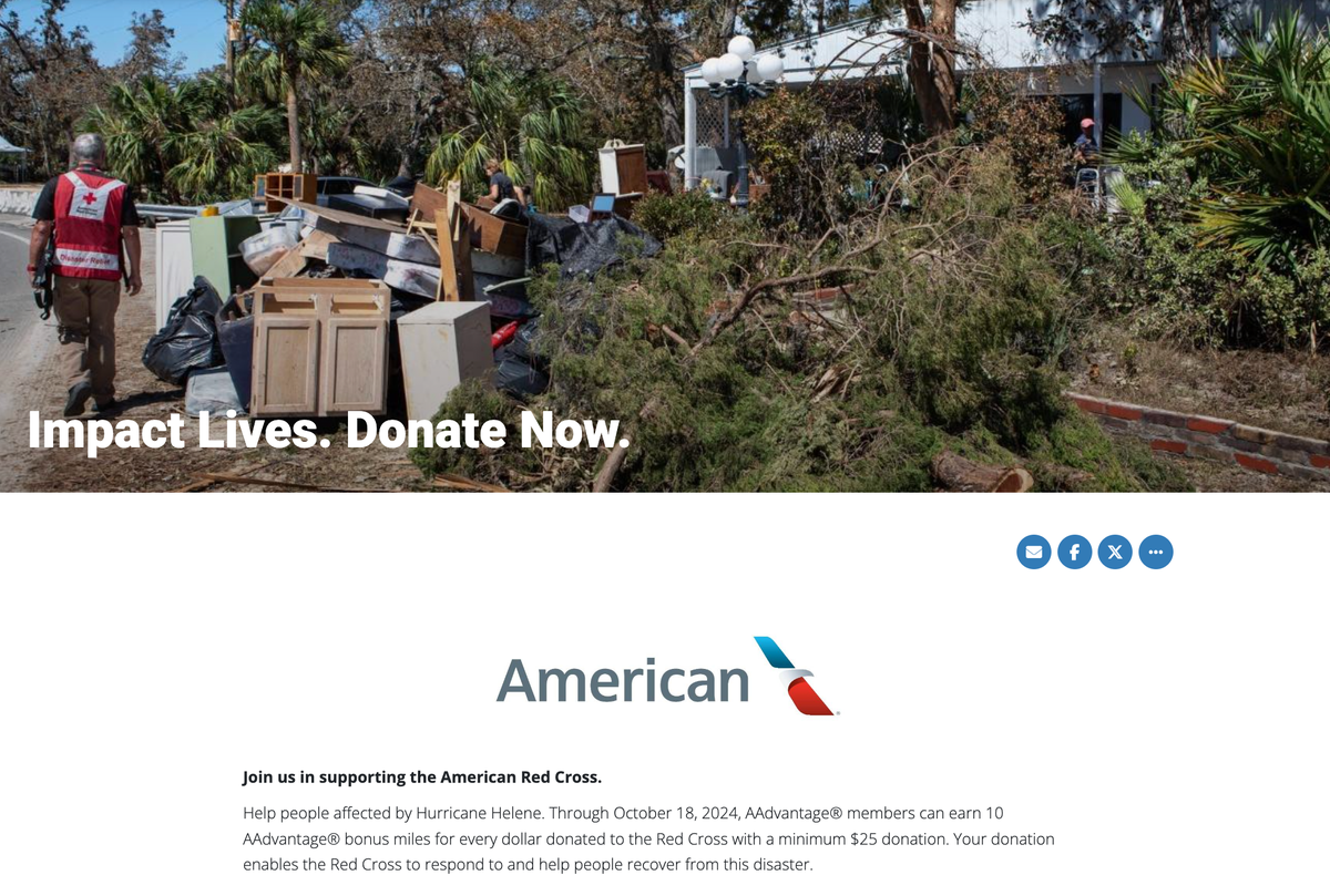 Red Cross AA miles donation page