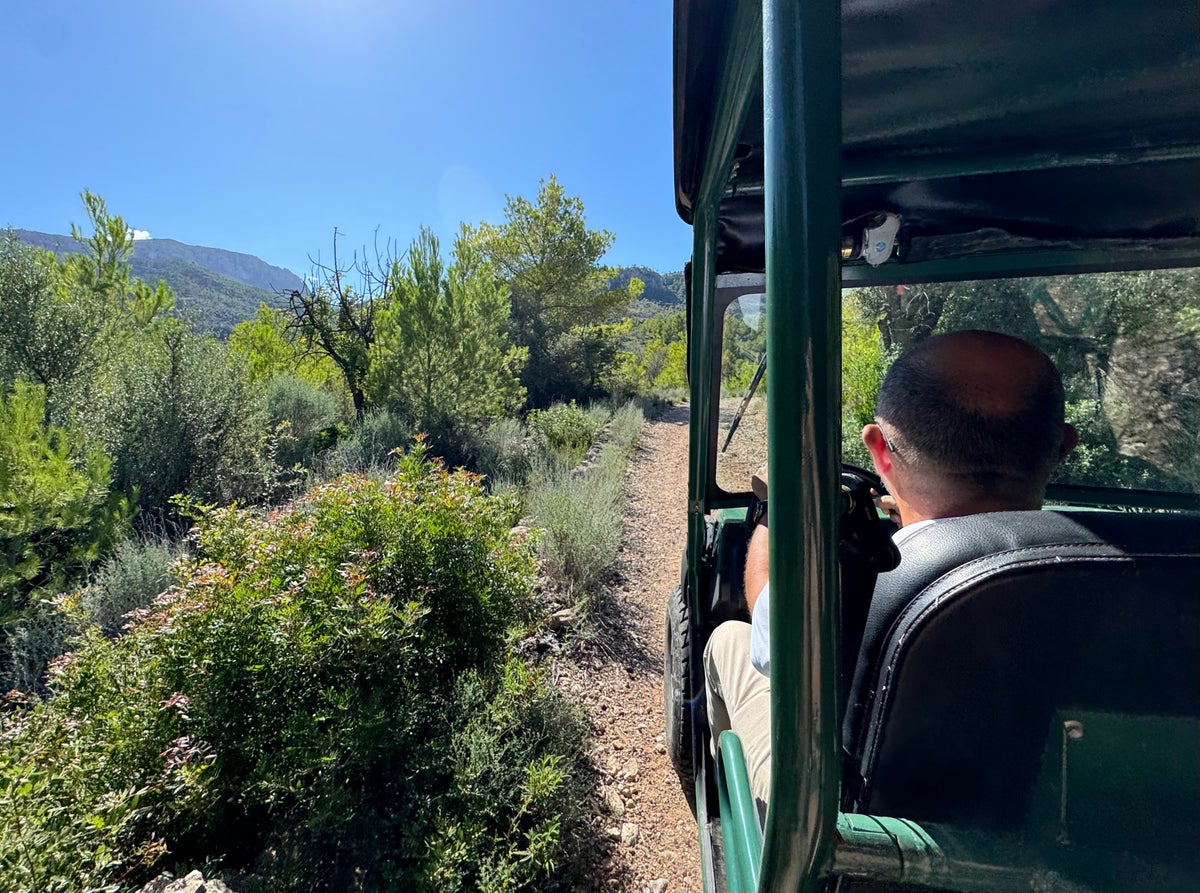 Son Bunyola Mallorca Spain buggy