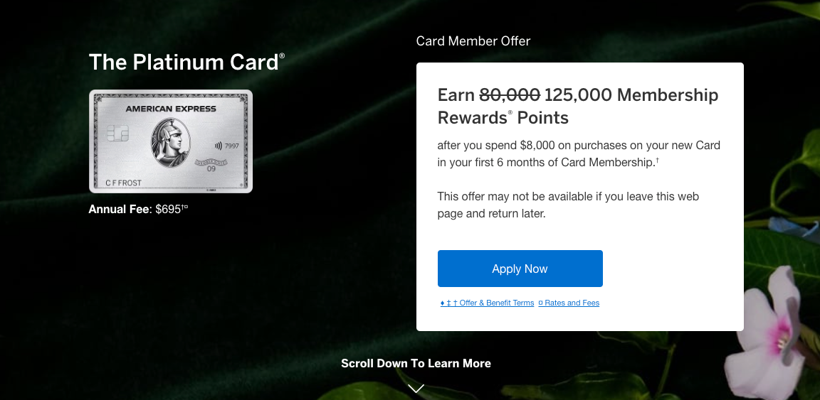 The Platinum Card® by American Express 125k offer October 18 2024