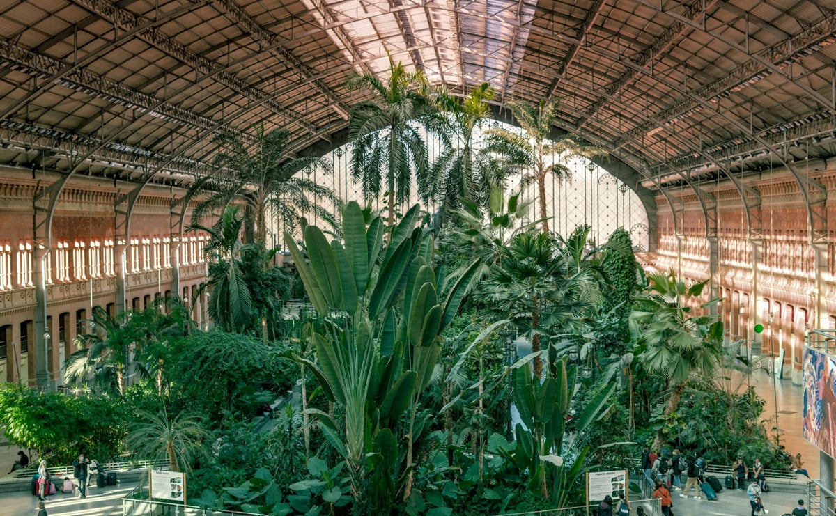 Atocha train station in Madrid