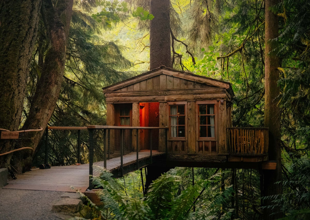 10 Treehouse Hotels in the U.S. That Will Leave You Speechless