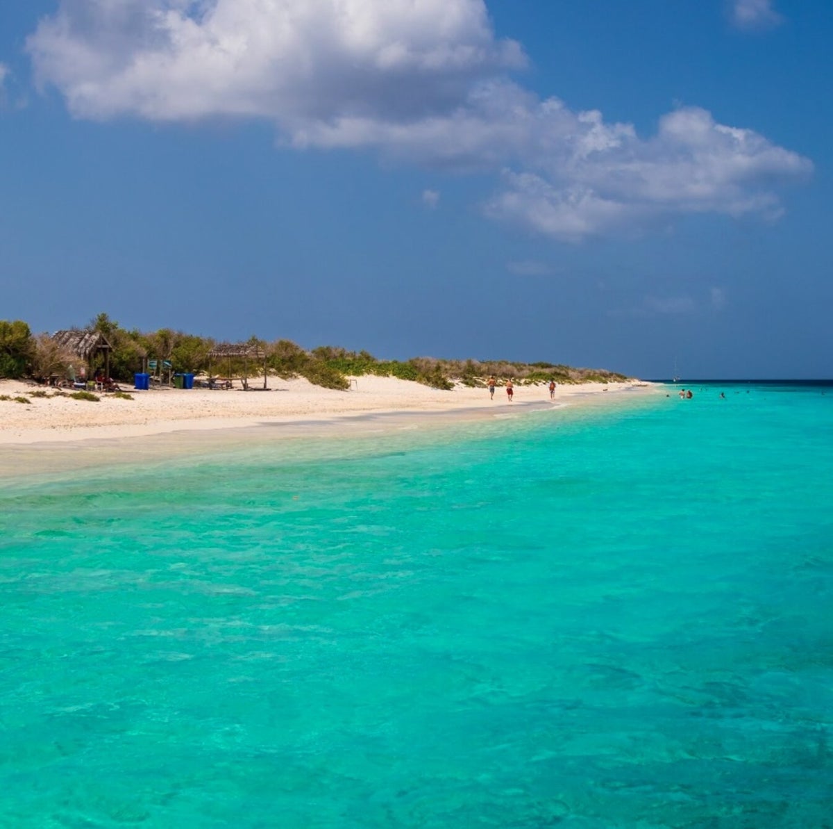 JetBlue Launches JFK-Bonaire Flights With $99 Fares