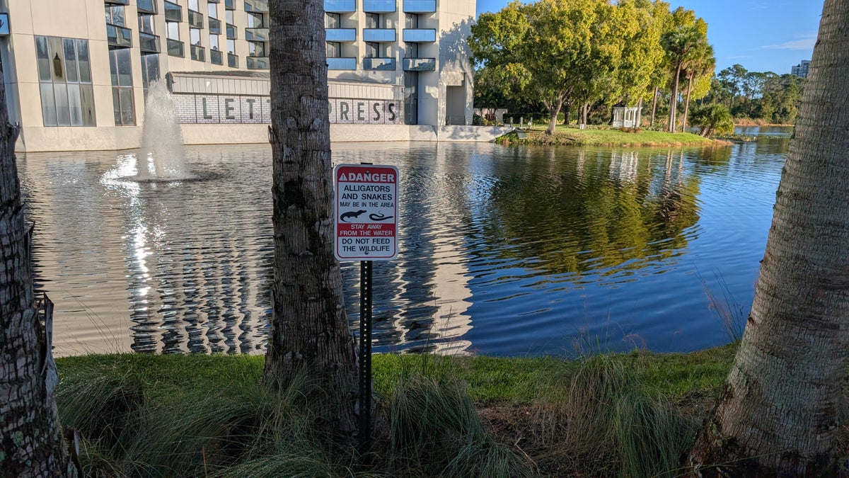 Hilton Buena Vista Palace Orlando alligator warning