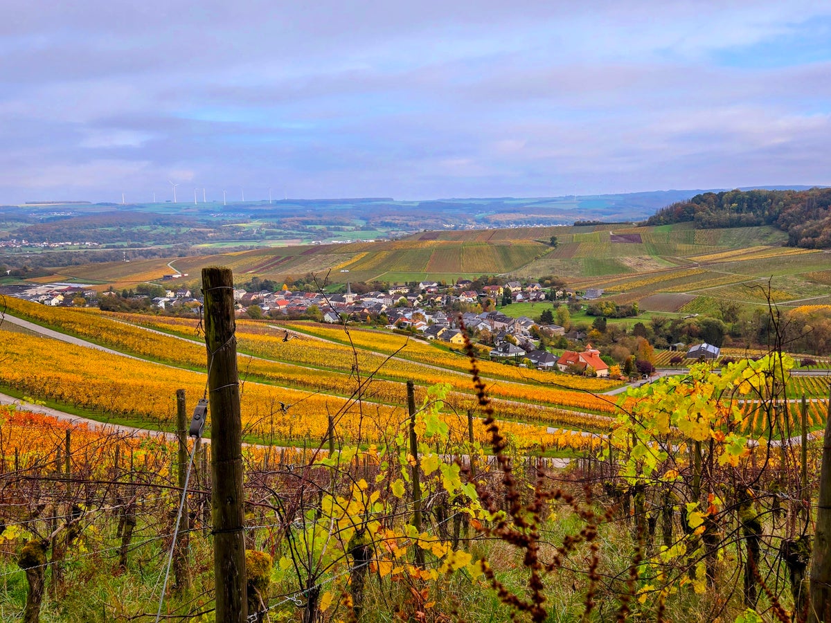 Luxembourg Wine Country