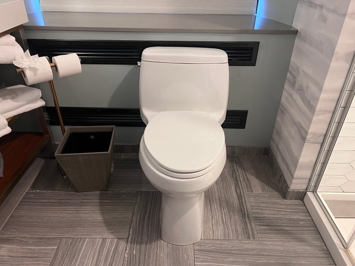 Rand Tower Hotel Minneapolis bathroom toilet