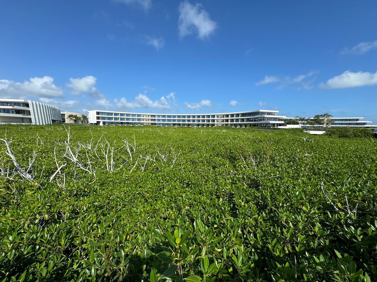 St. Regis Kanai mangroves