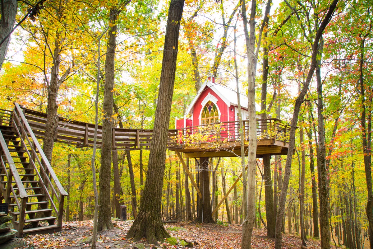 The Mohicans Treehouse Resort