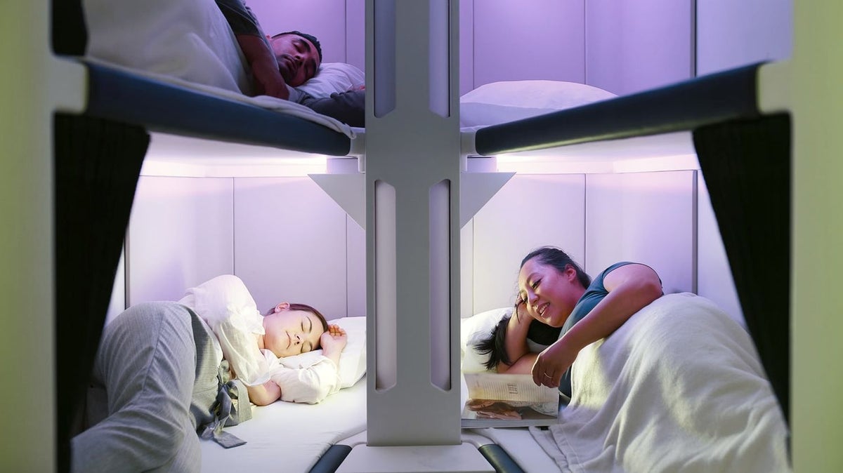 Air New Zealand Bunk Bed