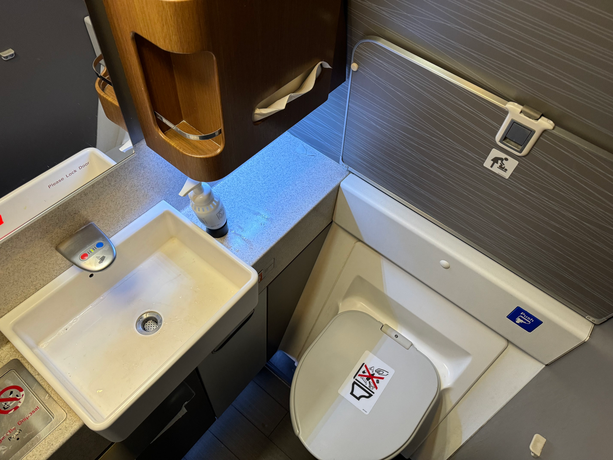 American Airlines B777 30 Business class bathroom top view