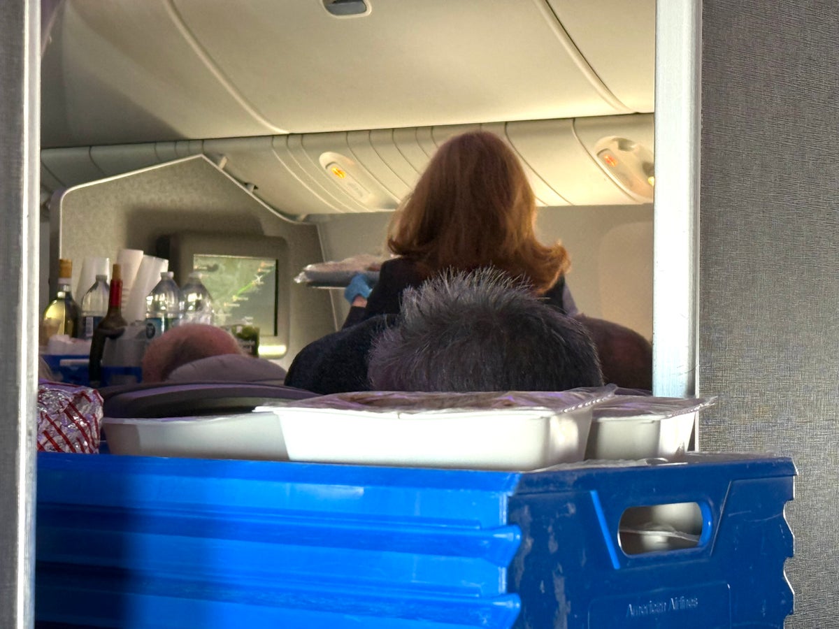 American Airlines economy FnB meal service