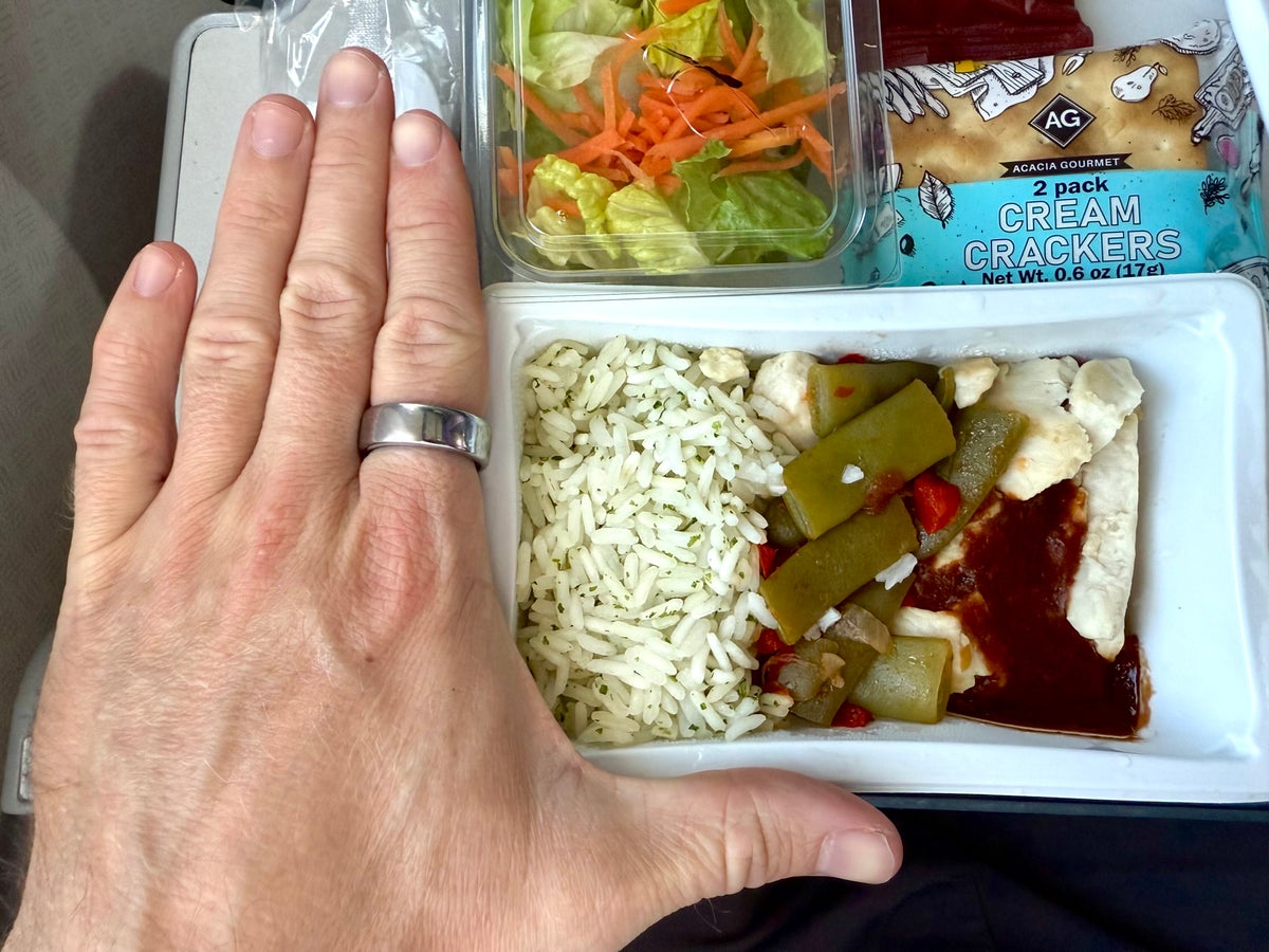 American Airlines economy FnB small meal portion