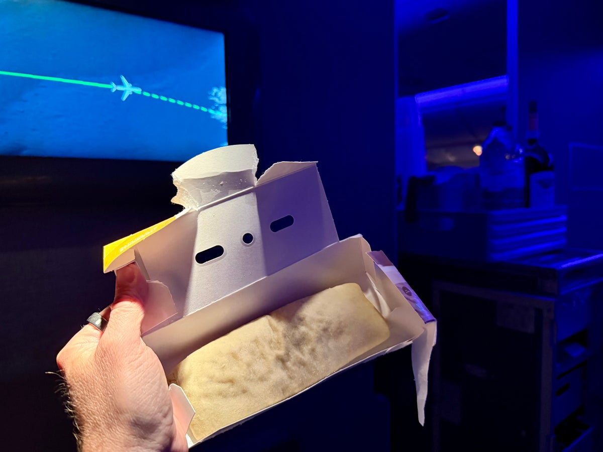 American Airlines economy second meal