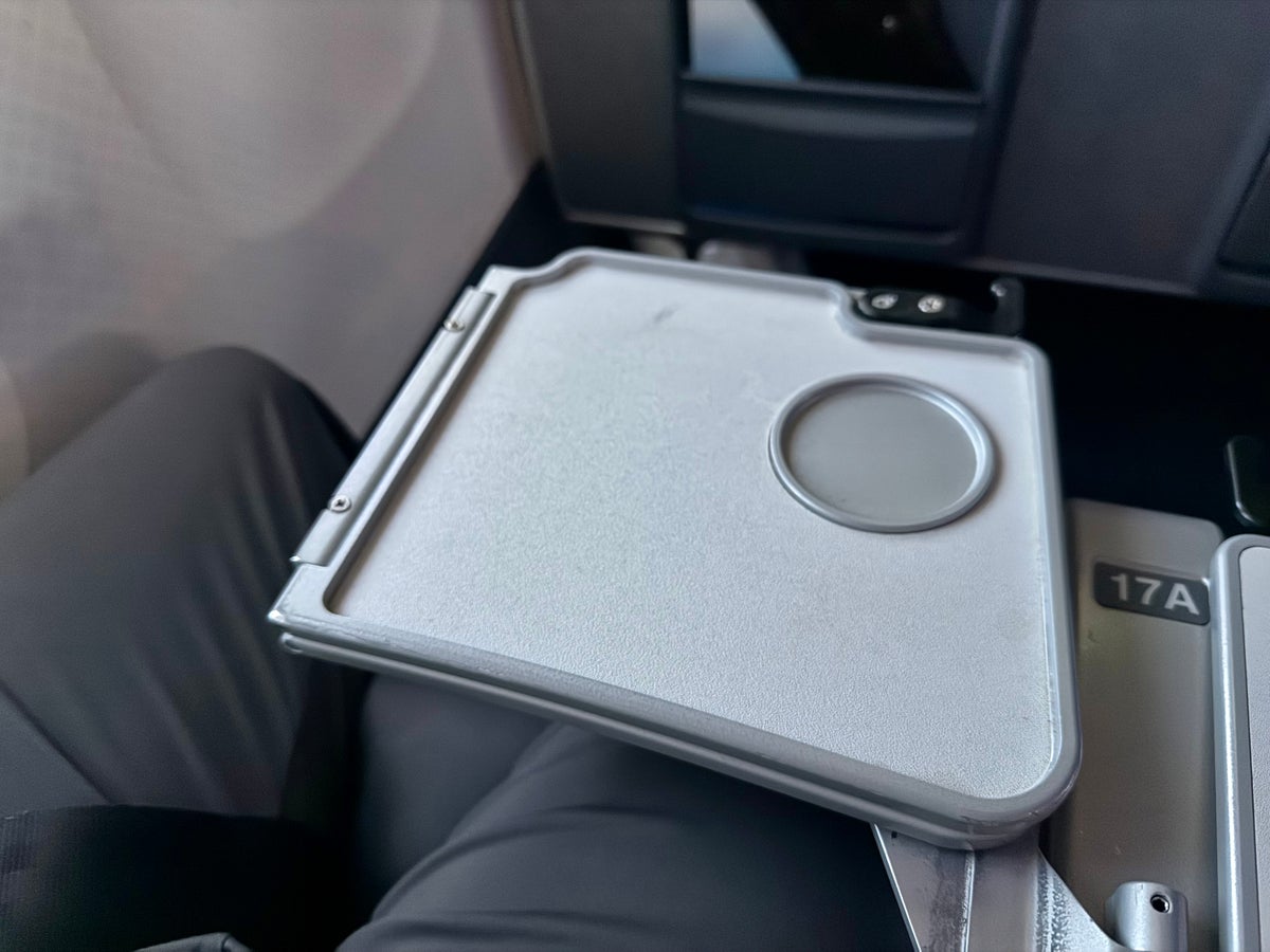 American Airlines economy tray table