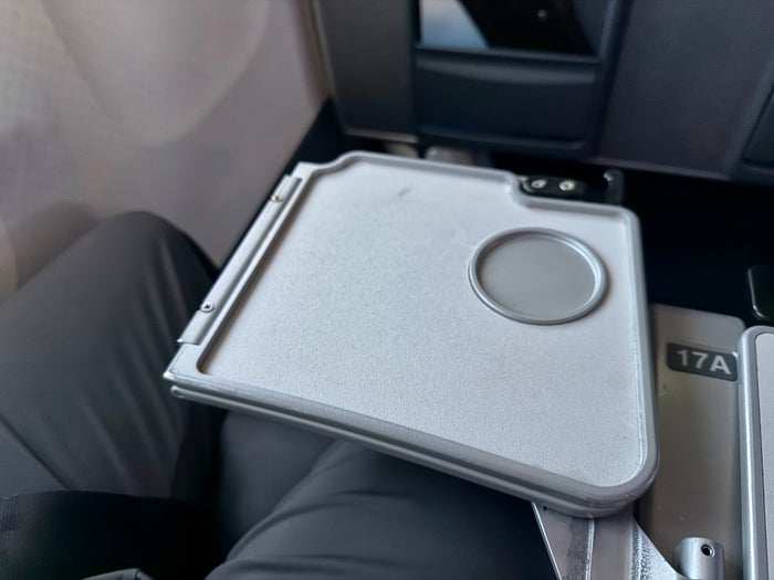 American Airlines economy tray table