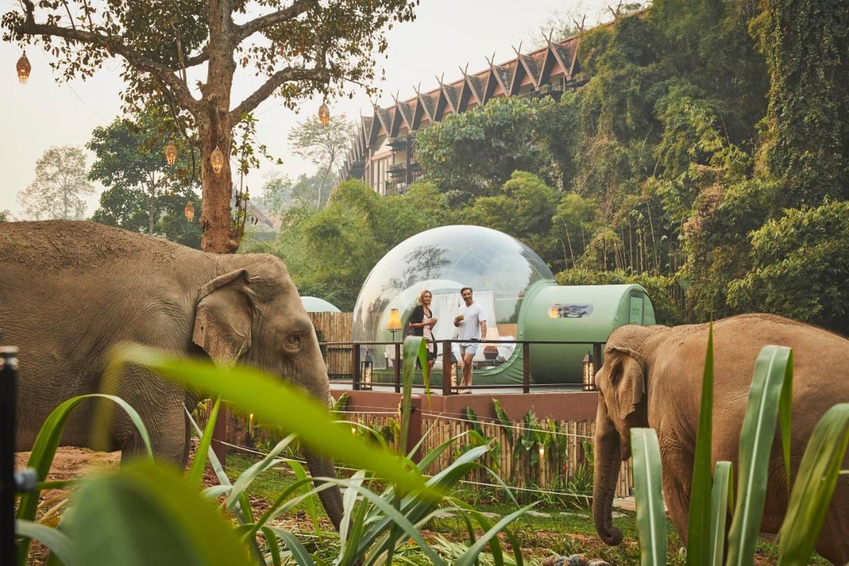 Anantara Golden Triangle Elephant Camp Resort