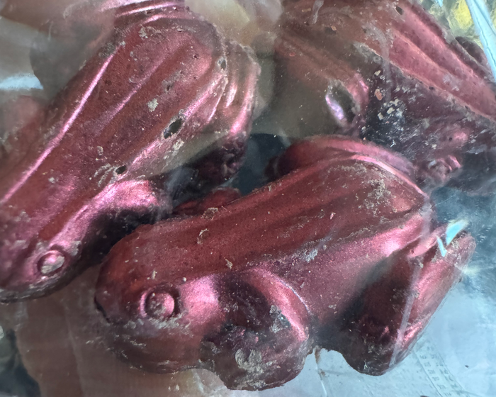 Copa Airlines B737 MAX chocolate frogs Copa Airlines B737 MAX chocolate frogs