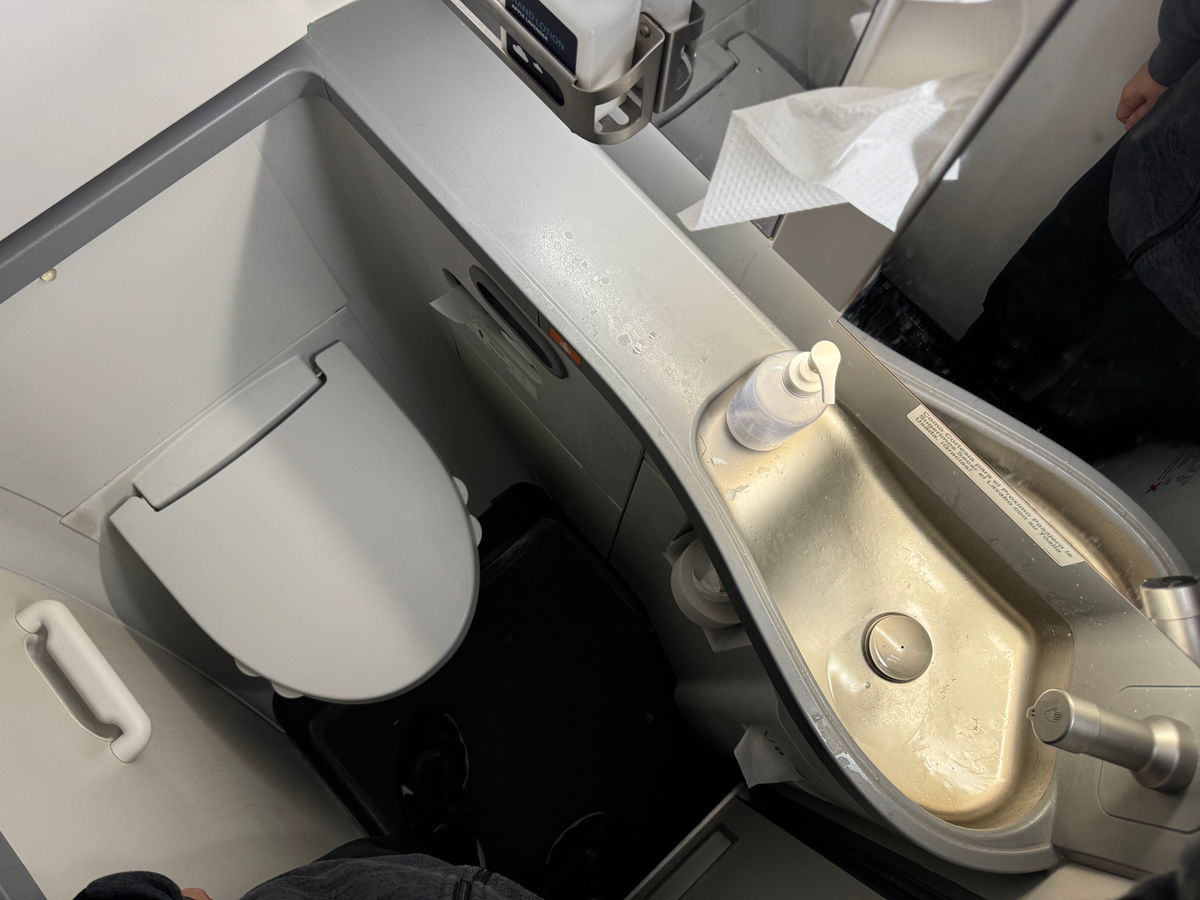 Copa Airlines B737 MAX lavatory