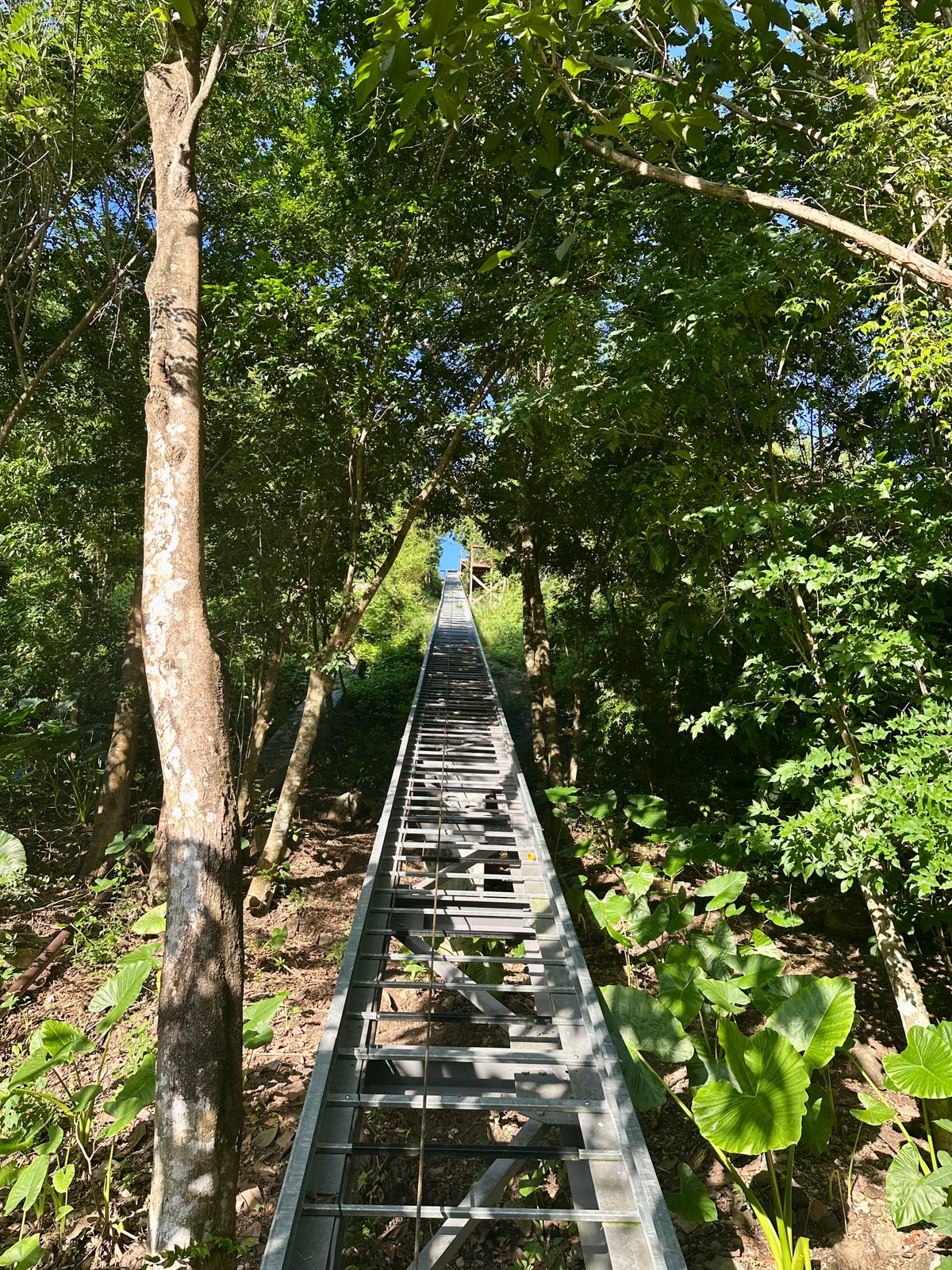 Secret Bay Funicular