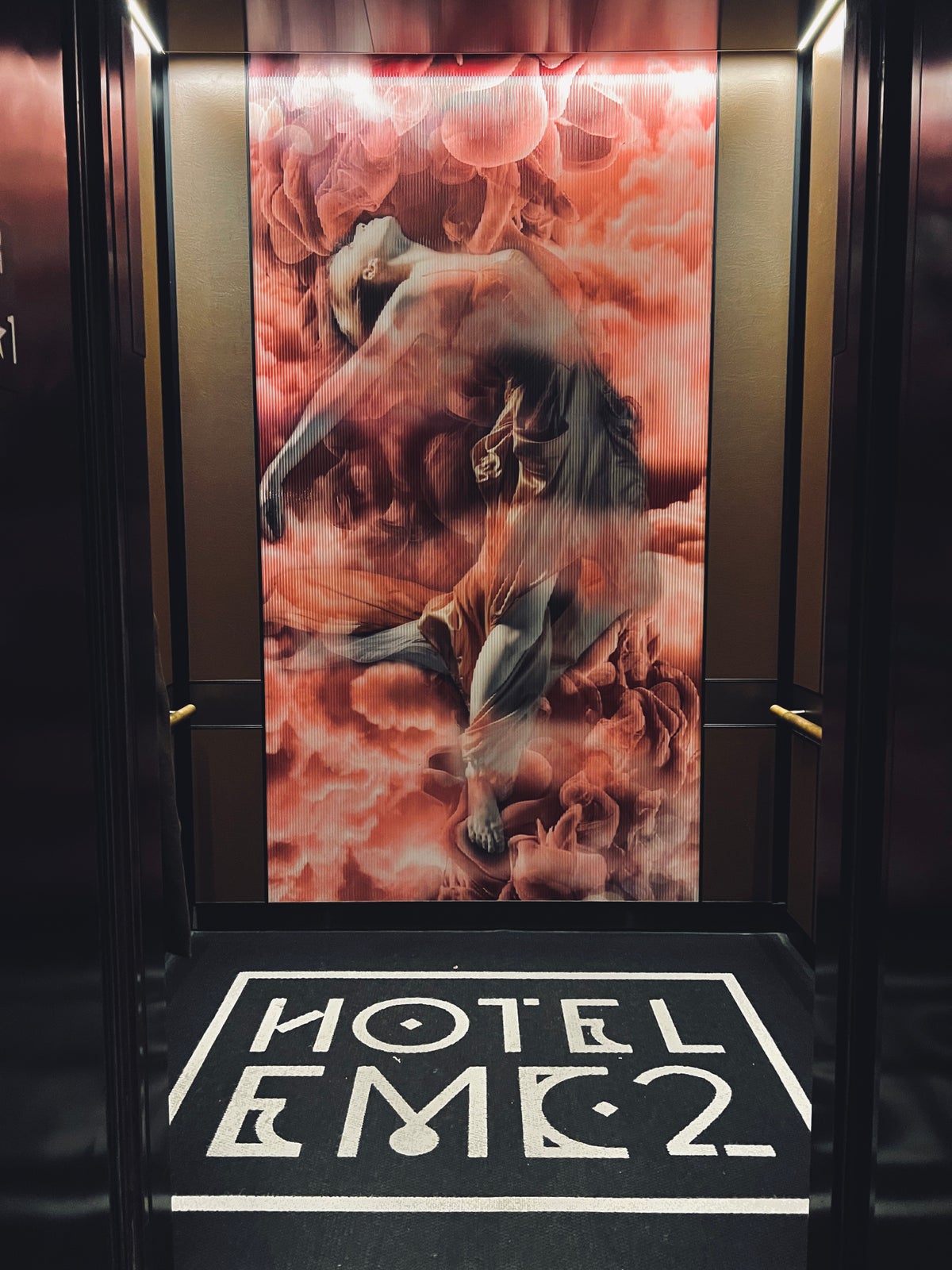 Hotel EMC2 Autograph Collection elevator art work