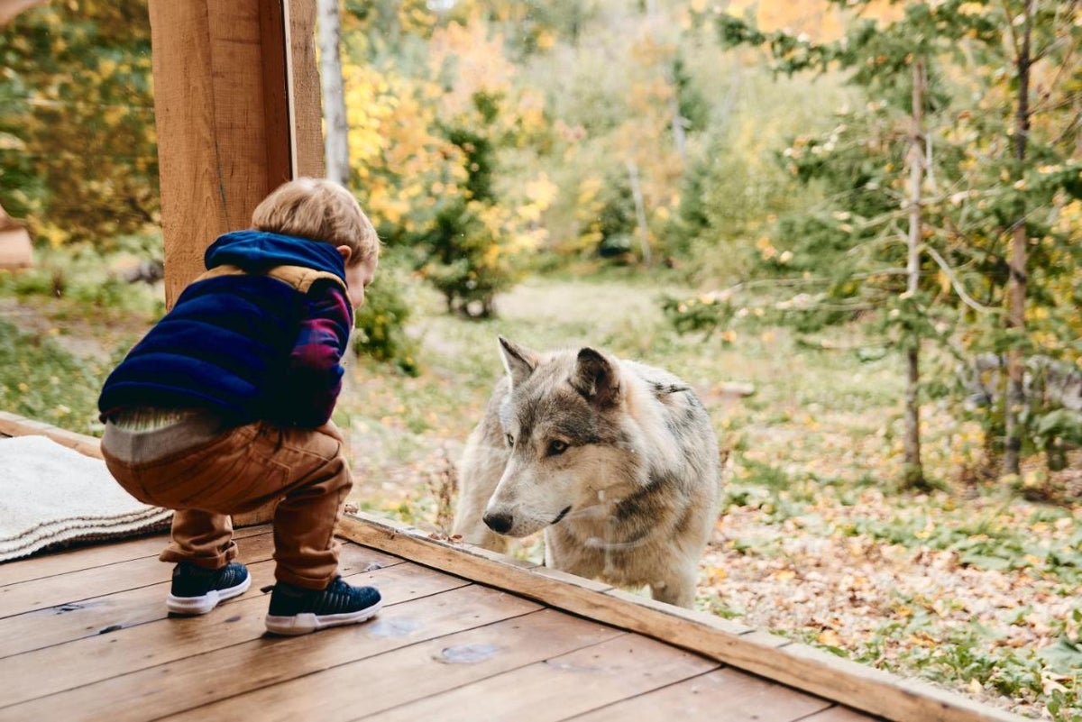 Parc Omega