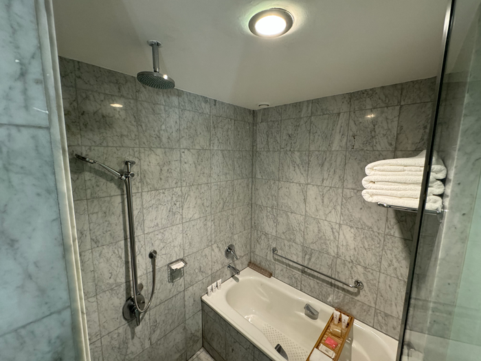 Park Hyatt Mendoza Park Suite bathroom tub