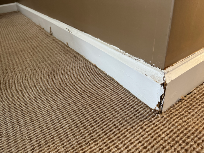 Park Hyatt Mendoza Park Suite cracked base board