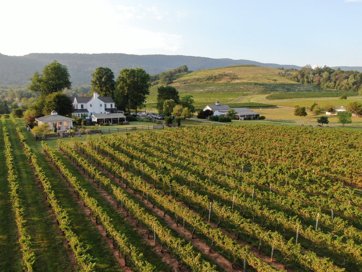 Stay, Sip, and Savor: Top 10 Winery Hotels in the U.S.