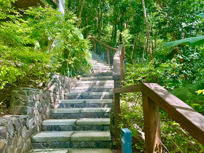 Ti Fey Stairs Ti Fey Stairs