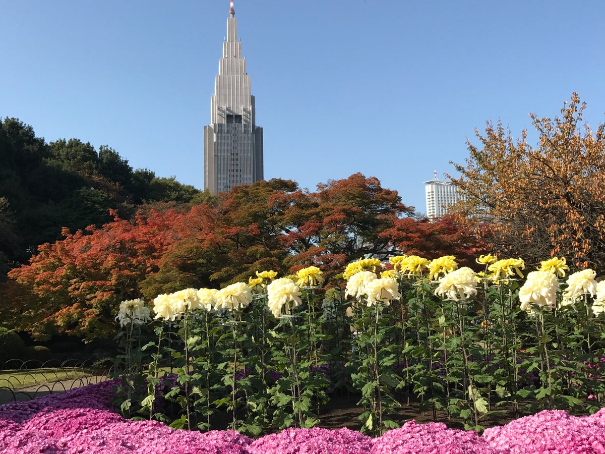 Tokyo Park