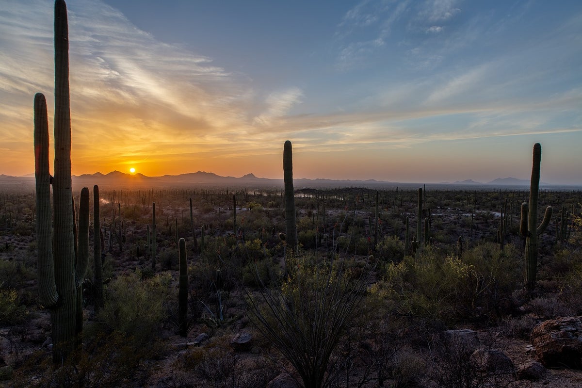 Tucson Arizona