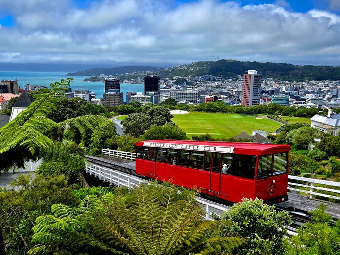 3 Vibrant New Zealand Cities You Should Add to Your 2025 Travel List