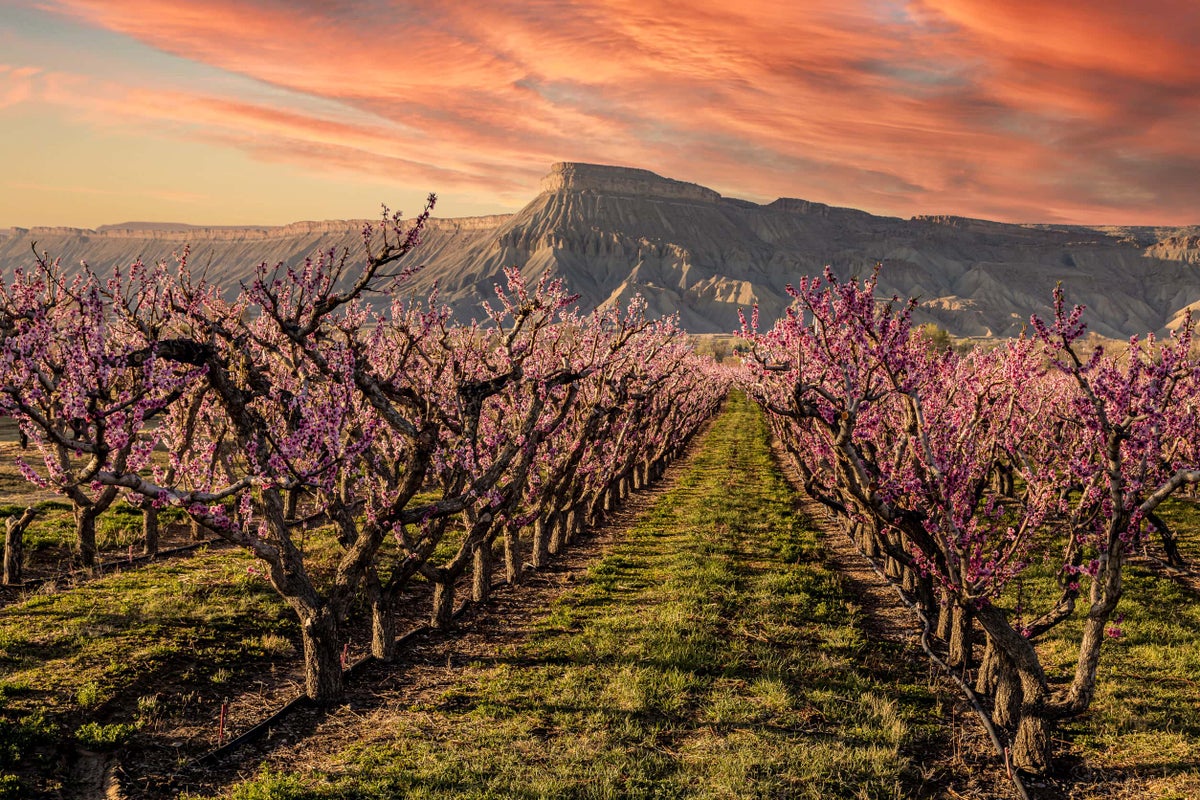 Wine Country Inn