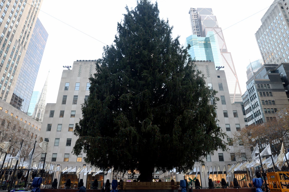 new york city rockefeller center tree untrimmed