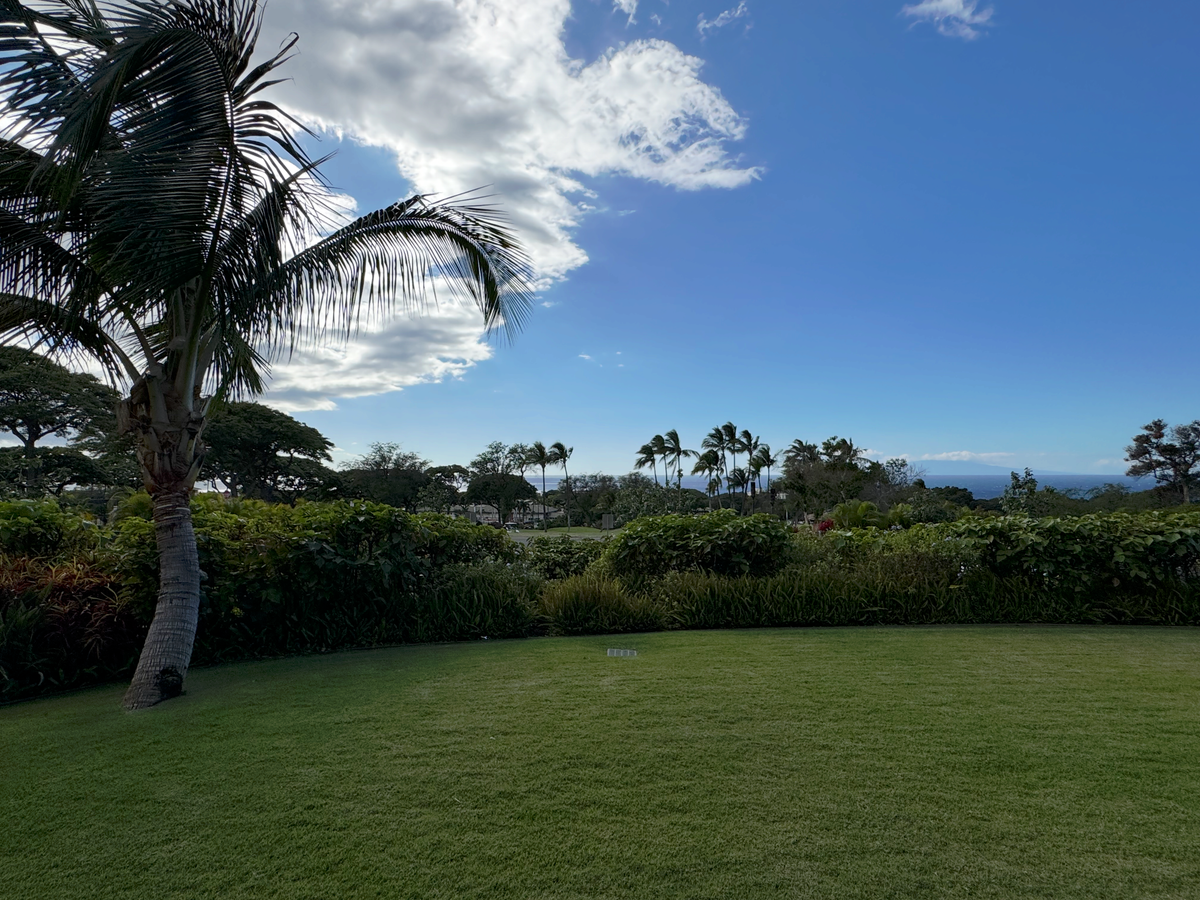 AC Hotel by Marriott Maui Wailea King Ocean View Suite grass area