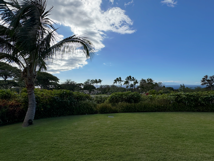 AC Hotel by Marriott Maui Wailea King Ocean View Suite grass area