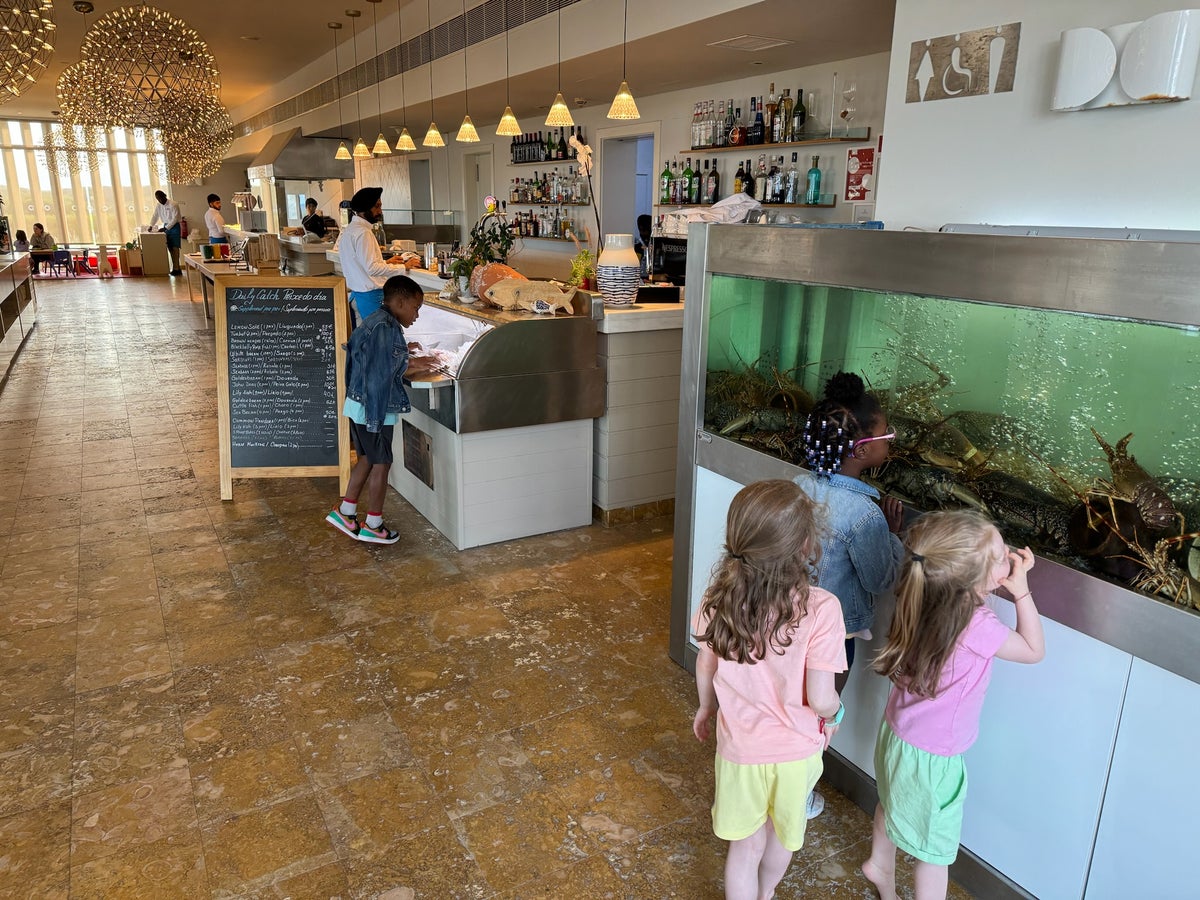 Ashley Onadele kids and others check out fish and lobster Martinhal Sagres