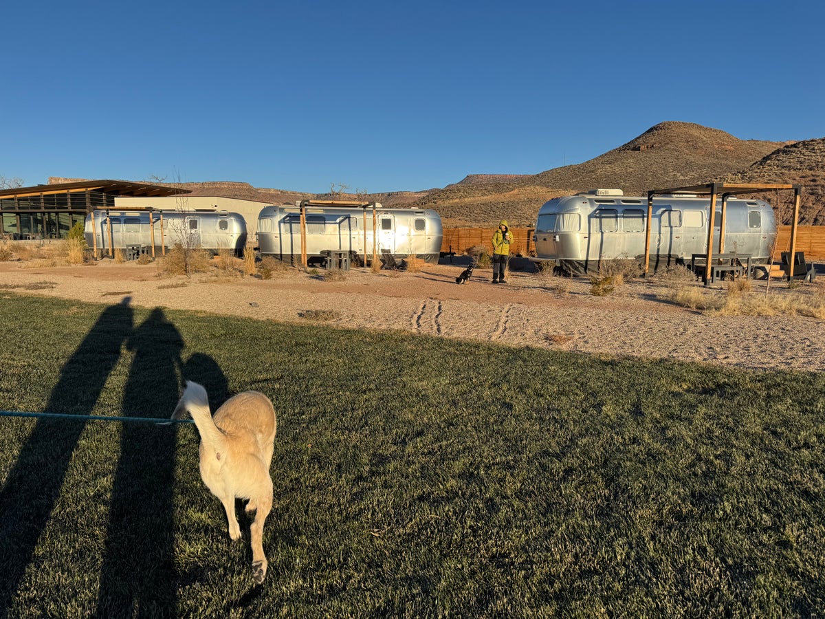 AutoCamp Zion Grasssy Area