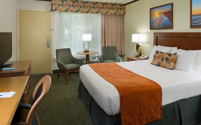 Best Western Seven Seas Best Western Seven Seas