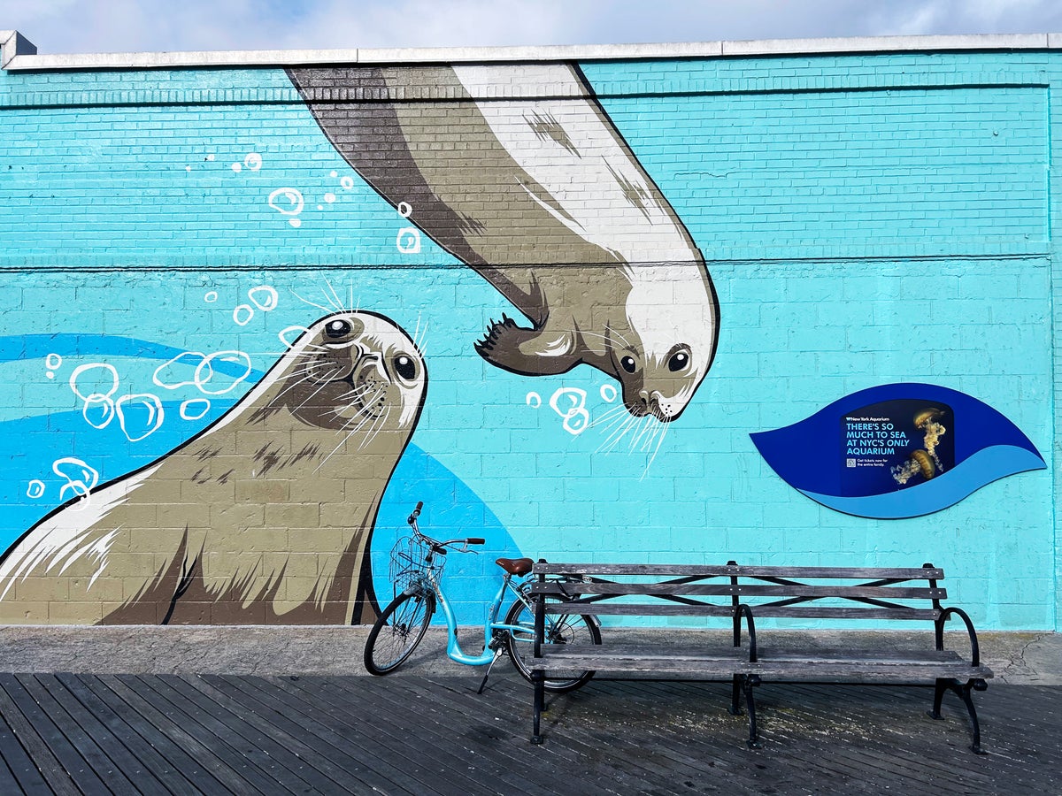 Coney Island New York City seals mural bicycle