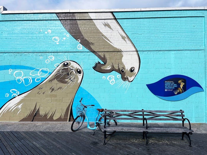 Coney Island New York City seals mural bicycle