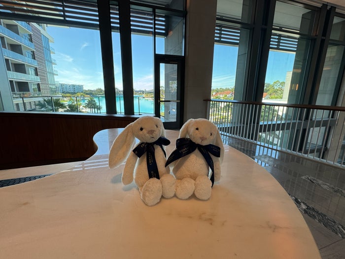Conrad bunnies Orlando Conrad bunnies Orlando