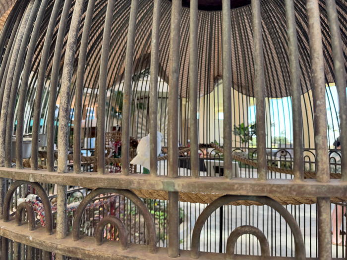 Hyatt Regency Maui Resort and Spa cockatoo in lobby Hyatt Regency Maui Resort and Spa cockatoo in lobby